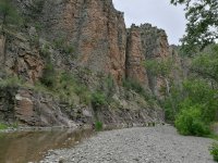 IMG_20170615_175015.jpg