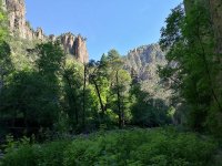 IMG_20170615_175409.jpg
