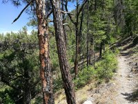IMG_20170615_175555.jpg