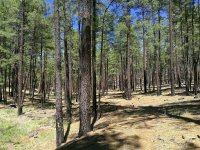 IMG_20170615_180510.jpg