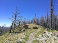 IMG_20170615_181958.jpg