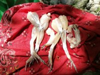 IMG_20170615_175241.jpg