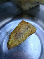 IMG_20170615_175746.jpg