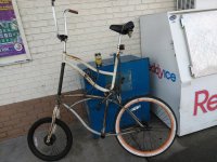 IMG_20170905_092450.jpg