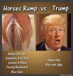 fb_img_1449859009741.jpg