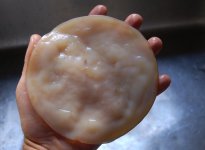 Kombucha-SCOBY-Mother.jpg