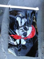 IMG_20171119_155851.jpg