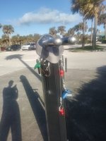 20171130_084728_HDR.jpg