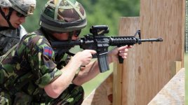 160613175555-assault-rifle-1-exlarge-169.jpg