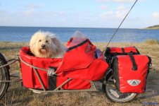 bikes001.jpg