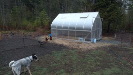 garden2.jpg