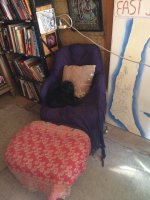 2018-03-19 002.JPG