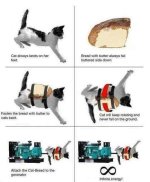 FB_IMG_1523902154783.jpg