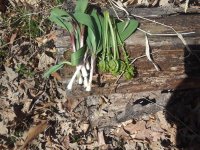 20180507_122238.jpg