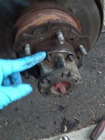 image.jpeg