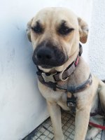 20180515_132815.jpg