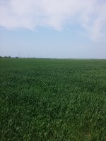 20140701_122159.jpg