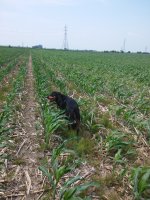 20140701_123718.jpg