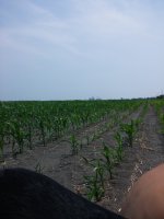 20140701_131241.jpg