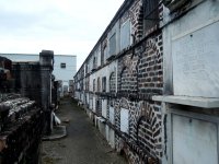 NOLA2.jpg