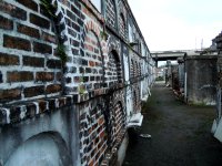 NOLA12.jpg
