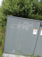 20140806_124204.jpg