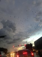IMG_0896.jpg