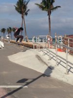 IMG_1515.jpg