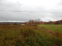 a14.jpg