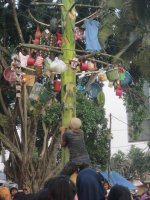 greasedtree climbing 2.jpg