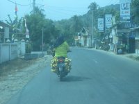 lampung banana lady.jpg