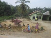 somewhere along the highway to medan.jpg