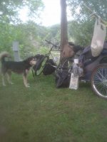 IMG_2652535576926.jpeg