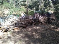 IMG_20180615_162203510.jpg