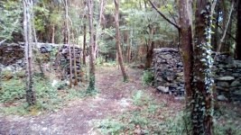 IMG_20180621_132021.jpg