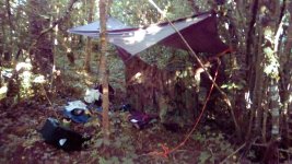 hammock.jpg