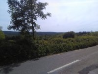 IMG_20180625_145223.jpg
