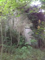IMG_20180706_174209.jpg