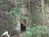 IMG_20180706_174004.jpg
