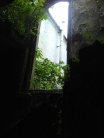 IMG_20180706_173449.jpg