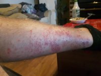 20180714_202617.jpg