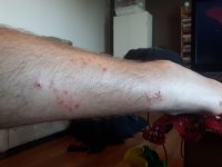 20180710_195201.jpg