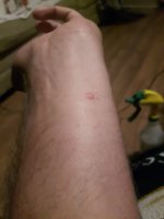 20180706_234821.jpg
