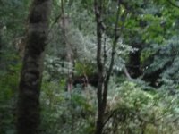 IMG_20180721_170536.jpg