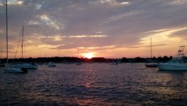 IMG_20180731_195124.jpg