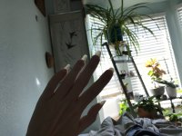 5A8C2049-E7C6-40D1-8129-E18CE80E5163.jpeg