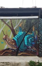20171115_143720.jpg