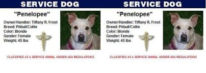 peneloservicedog-1.jpg