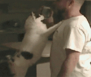 wWSZxuG.gif
