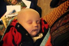 IMG_1706.jpg